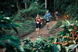 BIB: 
                            <button type="button" onclick="openModal(25836552)" class="btn btn-primary btn-sm float-right btn-popup" data-toggle="modal" data-target=".modal-high-quality">
                        <i class="fas fa-shopping-cart"></i> Add to Cart
                    </button>
                                            <button type="button" onclick="isThisMe(25836552, true)" class="btn btn-success btn-sm float-right btn-popup btn-isme hidden" data-toggle="tooltip" data-placement="bottom" title="นี่คือรูปของคุณใช่ไหม คลิกที่นี่เพื่อเอาเข้าอัลบั้ม">
                        <i class="fas fa-plus"></i> Add to album
                    </button>
                    <button type="button" onclick="isThisMe(25836552, false)" class="btn btn-warning btn-sm float-right btn-popup btn-isnotme hidden">
                        <i class="fas fa-ban"></i> Remove from album
                    </button>